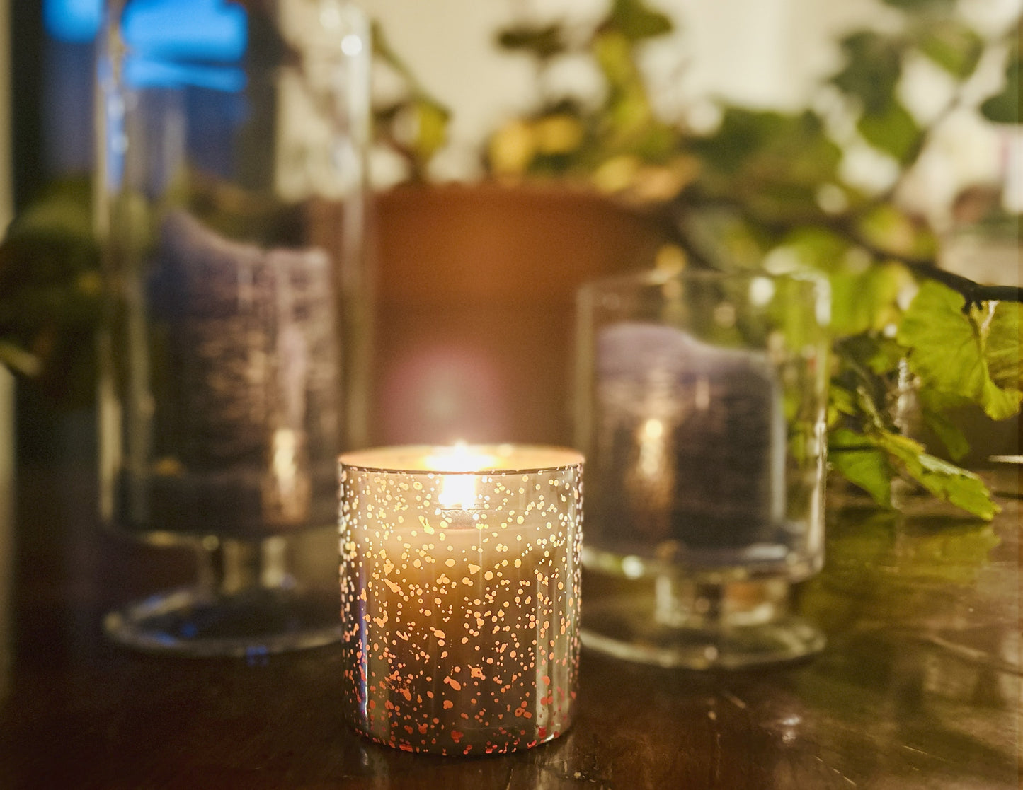 Brown Sugared Fig Luxury Multi-wick Candle