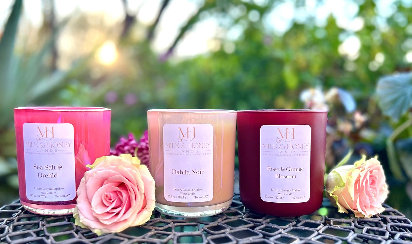 Sea Salt Orchid Wood-Wick Candle 13.5oz | Spa Aromatherapy