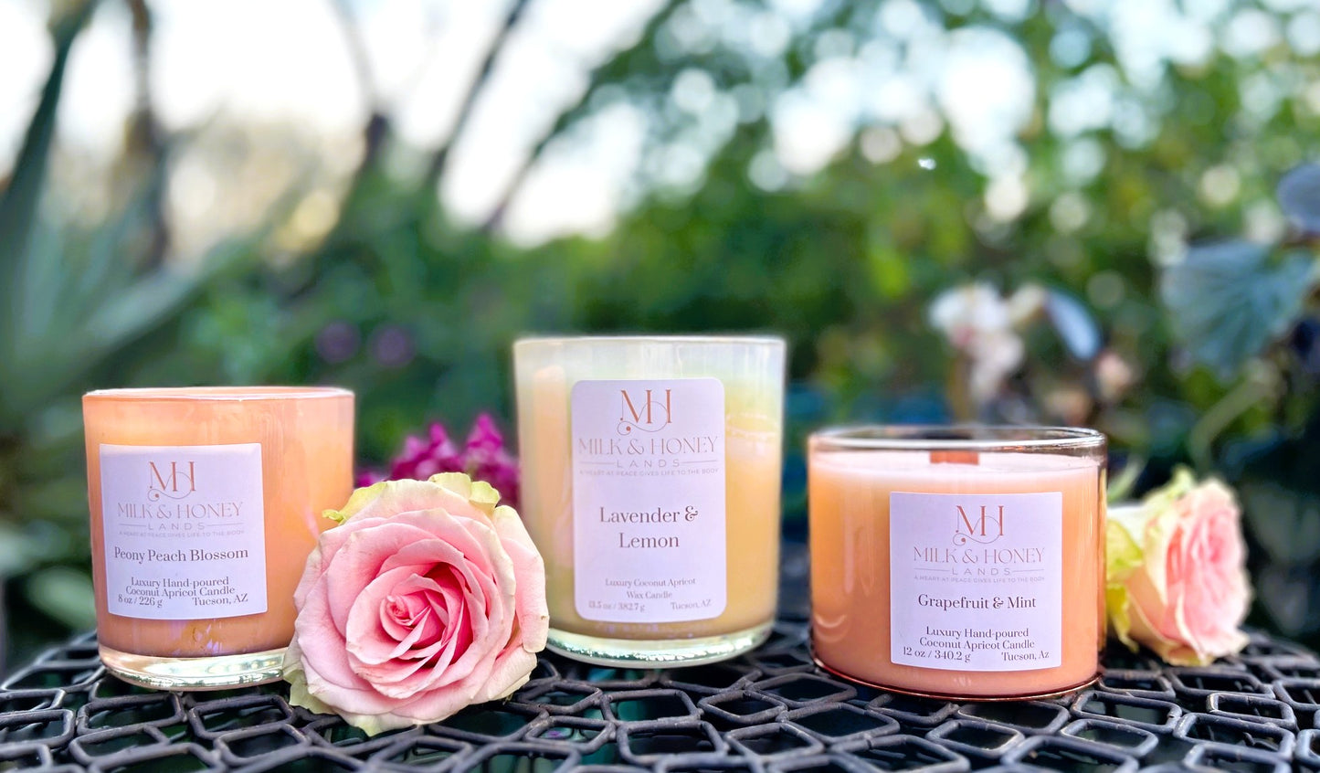 Grapefruit & Mint | Invigorating Aromatherapy | 12 oz Wood-Wick Candle