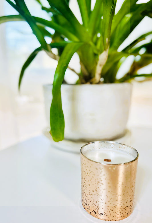 Fall Candle 8.5 oz