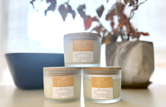 Citronella Lemongrass 2 Wick Candle