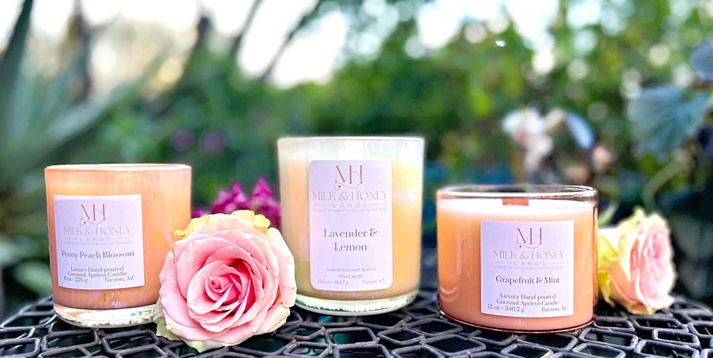 Best Sellers Candle Trio | Lavender Lemon, Peony Peach & Grapefruit Mint